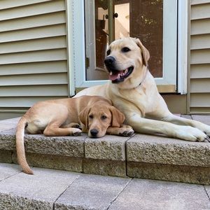 Meet your Posher, Michaela